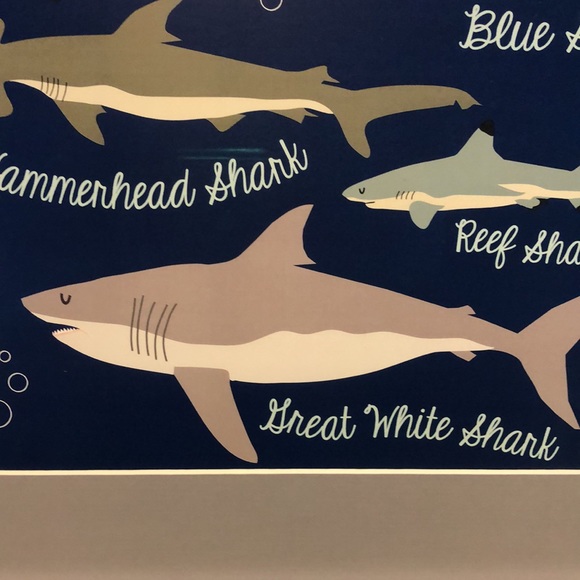 Framed art work of sharks - Picture 2 of 10
